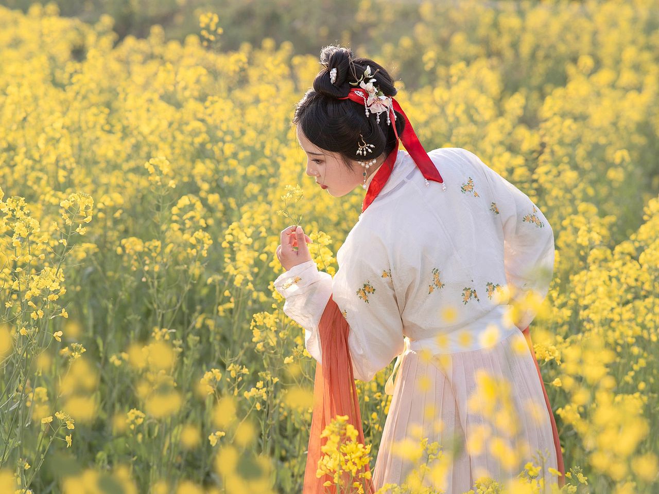 宋制姑娘‖油菜花拍照（图ZMzY0NzA1MzA0） - 人像摄影 - 站酷设计师Z417518250原创素材 - 站酷ZCOOL