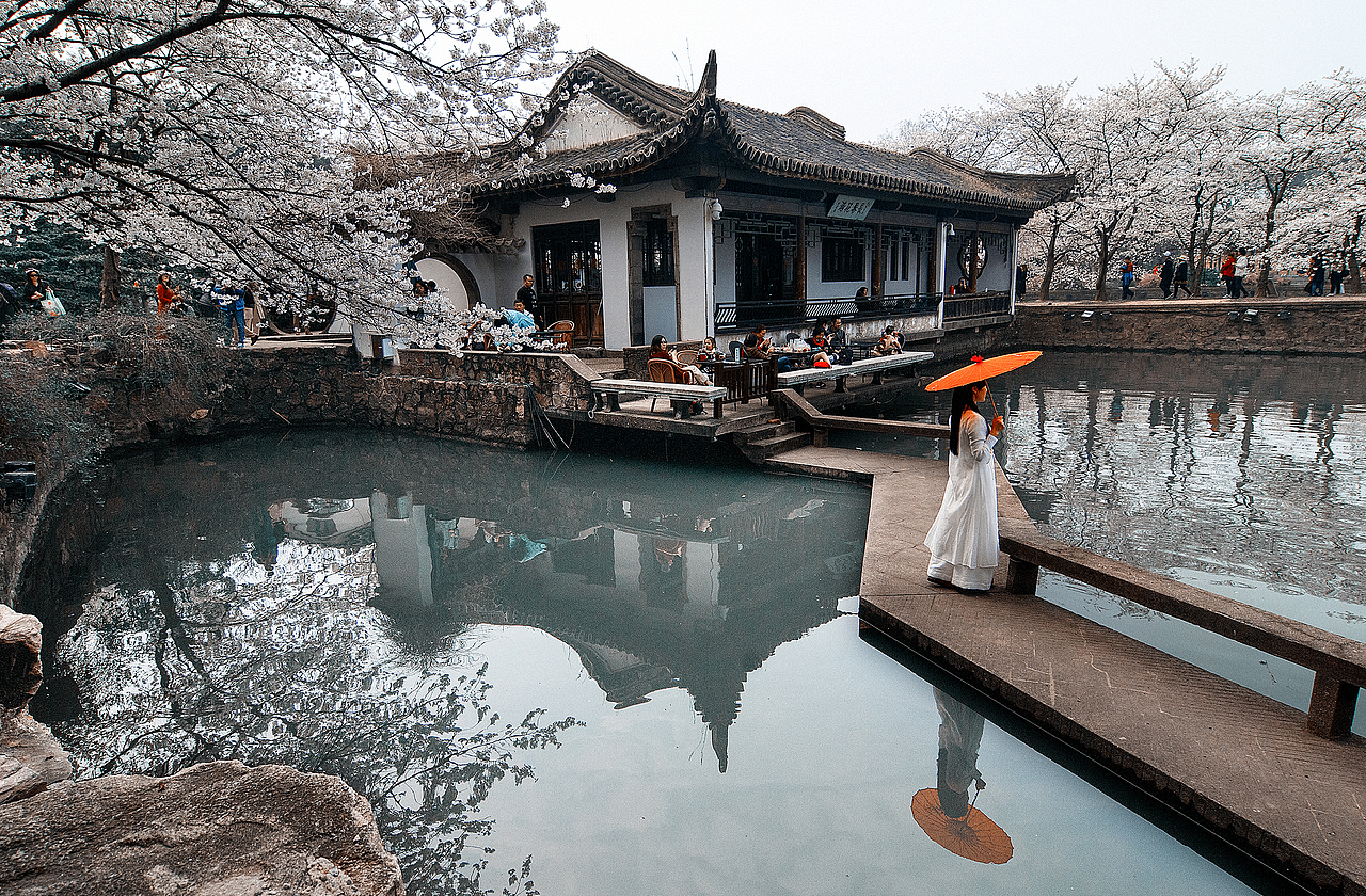 【浪漫樱花谷】（图ZMzM1ODUyNDA4） - 风光摄影 - 站酷设计师老陆逍遥原创素材 - 站酷ZCOOL