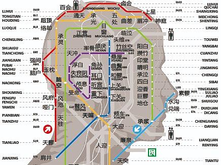 Body Transit—穴位地铁