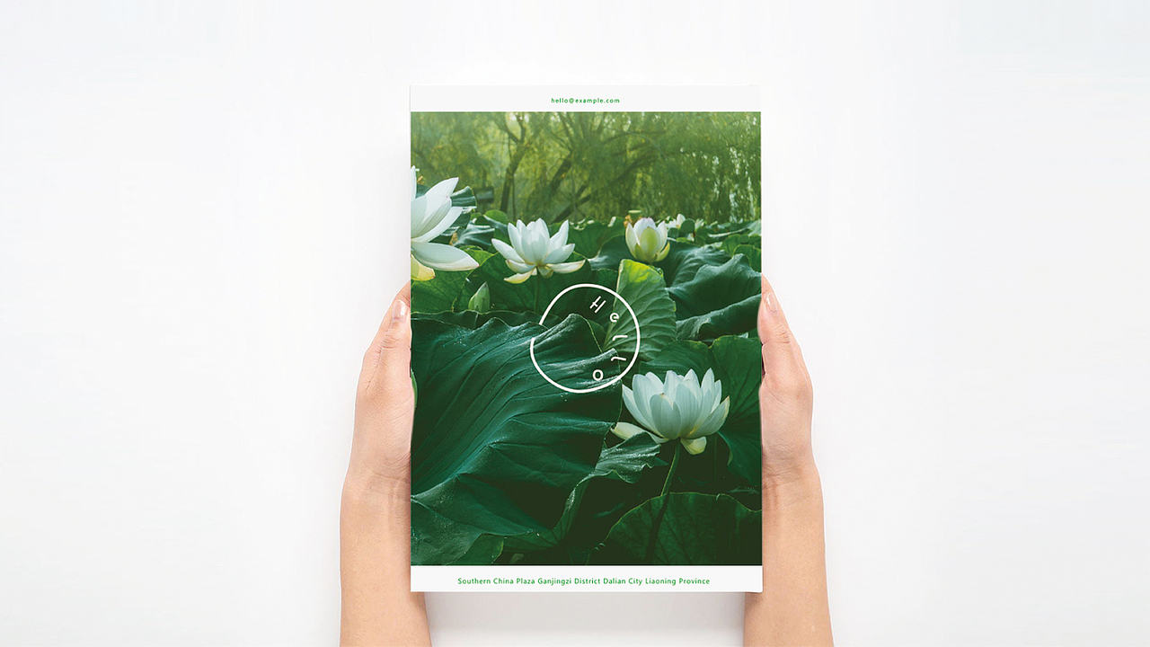 荷露Hello教育 品牌设计