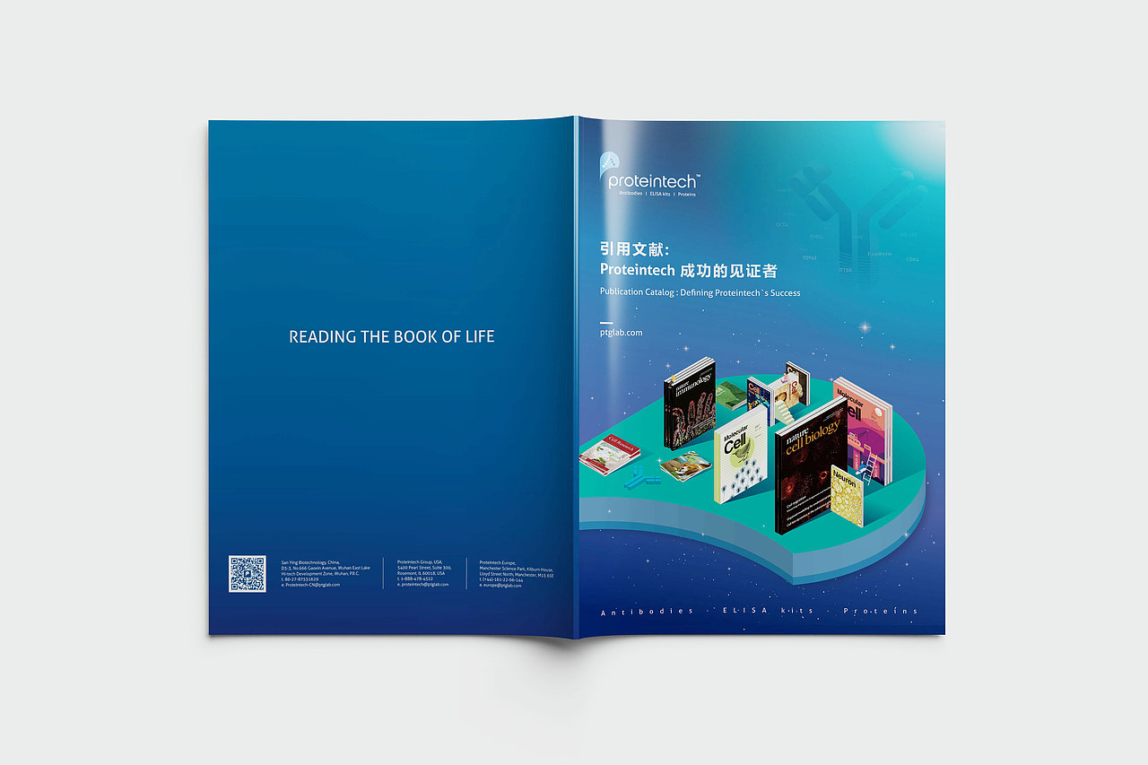 畫冊(cè)（圖ZMTgwNjY3MjQ0） - 書籍/畫冊(cè) - 站酷設(shè)計(jì)師派大星的海秒寶寶原創(chuàng)素材 - 站酷ZCOOL