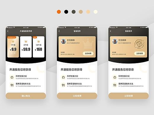 智慧营养师充值页面