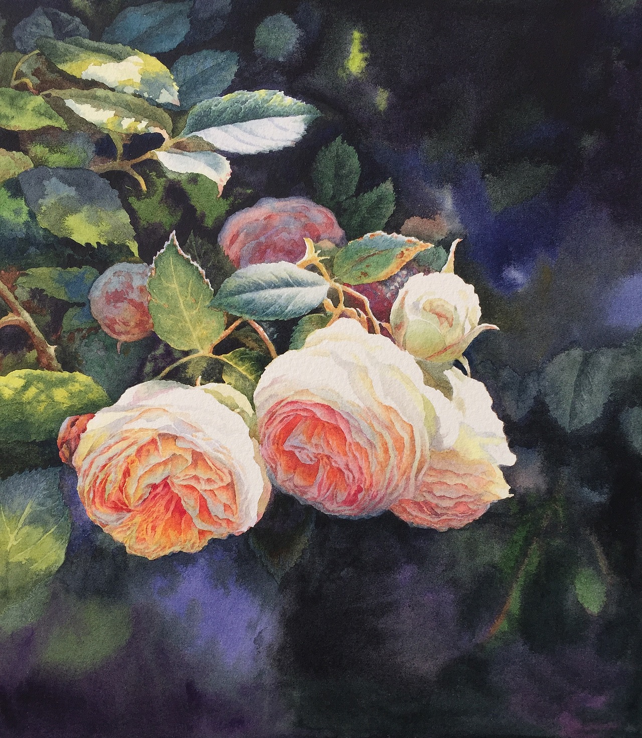 花花世界(水彩玫瑰花)|纯艺术|绘画|黄有维水彩_原创作品-站酷zcool