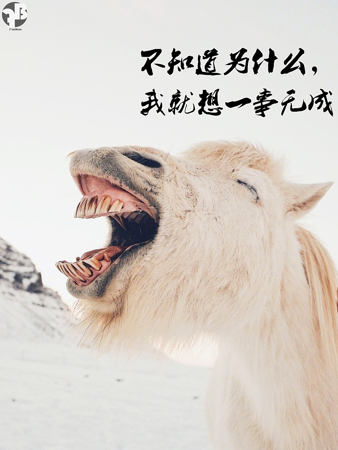 国潮品牌FizzBuzz 相关海报（图ZNzg2MDM2NTY=） - 海报 - 站酷设计师王面条原创素材 - 站酷ZCOOL