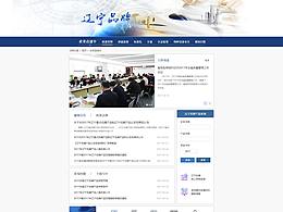 政府網(wǎng)站專題設計