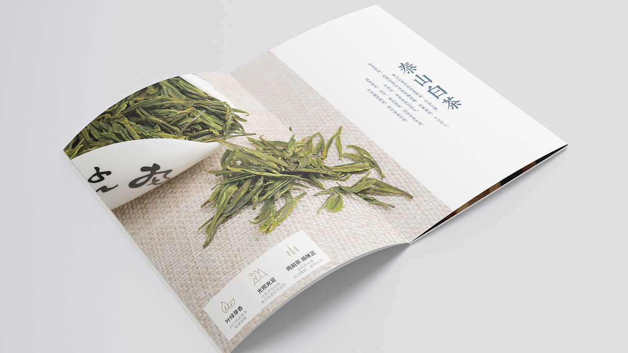 LittleSu-2018-2019作品集（图ZMTk3OTc5MTk2） - 品牌 - 站酷设计师LittleSu原创素材 - 站酷ZCOOL