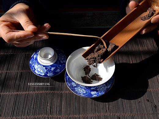 古树老茶