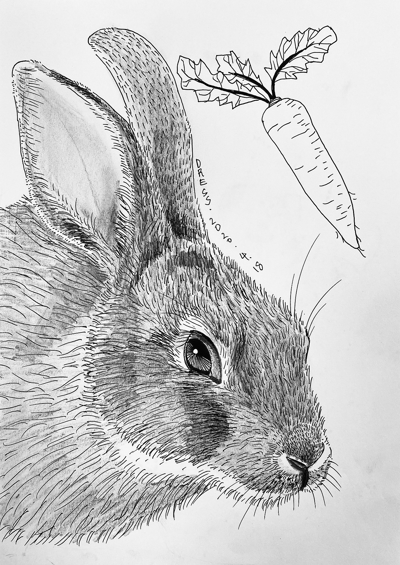 手绘中性笔照片速写