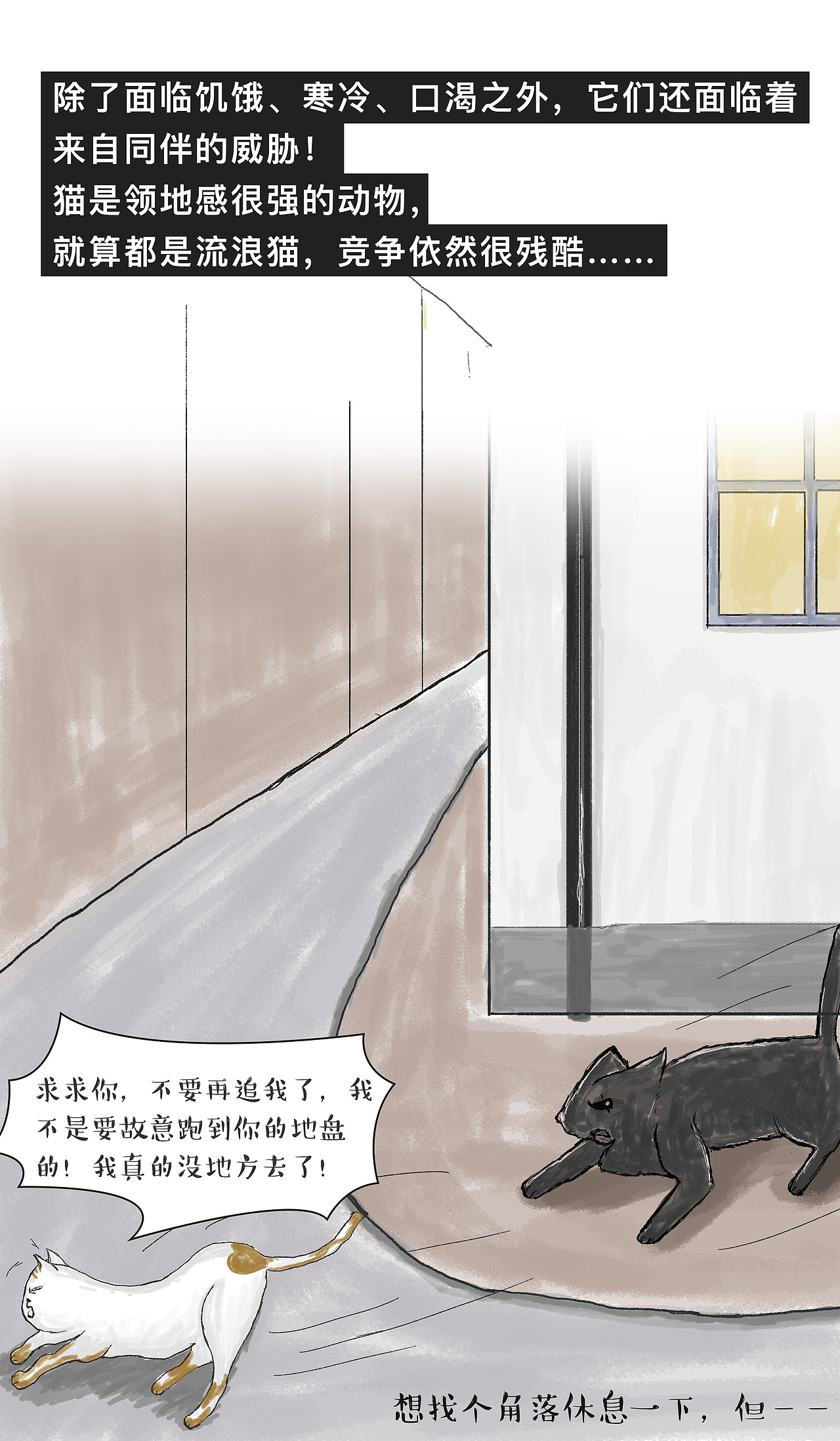 流浪猫（图ZMTg2MjUzOTY4） - 商业插画 - 站酷设计师插画时小亦原创素材 - 站酷ZCOOL