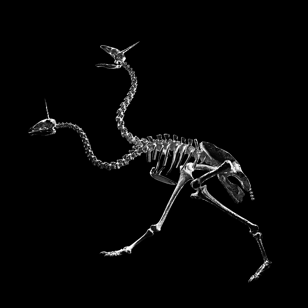 生命体幻想独角骨骼