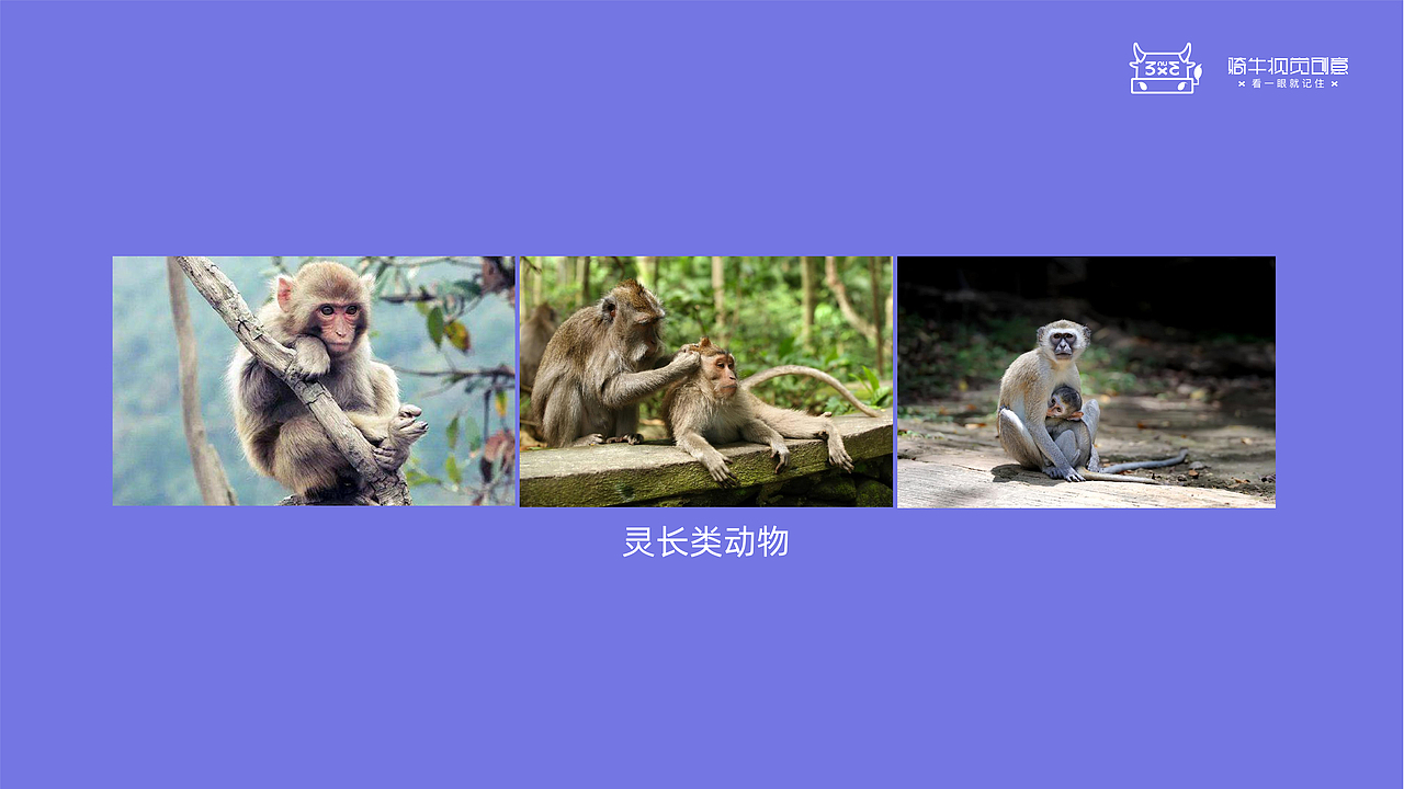 美的冰箱吉祥物飞机稿