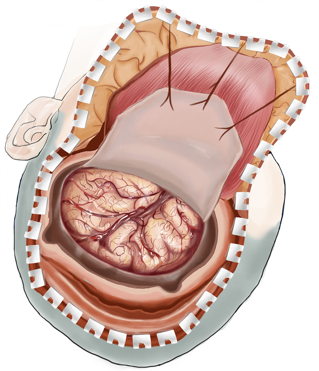 医学插画论文配图杂志封面设计科研绘图教程三维动画（图ZMjUzMDIzMDQ0） - 机械/交通 - 站酷设计师邦图文化原创素材 - 站酷ZCOOL
