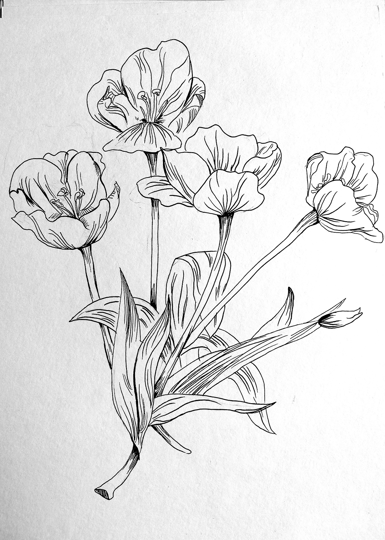 装饰基础课程（图ZNDk3NDI3Mjg=） - 图案 - 站酷设计师颜鸿玲原创素材 - 站酷ZCOOL