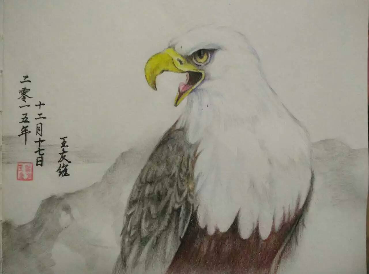 鹰击长空,鱼翔浅底!