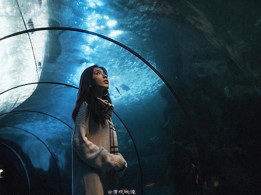 你是鱼儿水中游