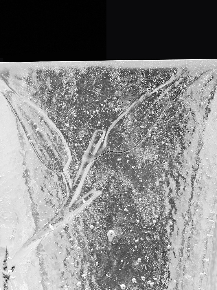 又以虚而有节疏疏淡淡不慕荣华不争艳丽不媚不谄的品格,
与古代贤哲“非淡泊无以明志,非宁静无以志远”的情操相契合