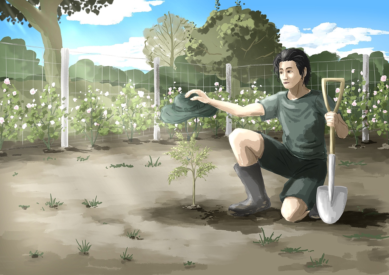 【治愈的花园】种一棵蓝花楹（插画）（图ZMzExMjI5ODI0） - 创作习作 - 站酷设计师沨之信原创素材 - 站酷ZCOOL