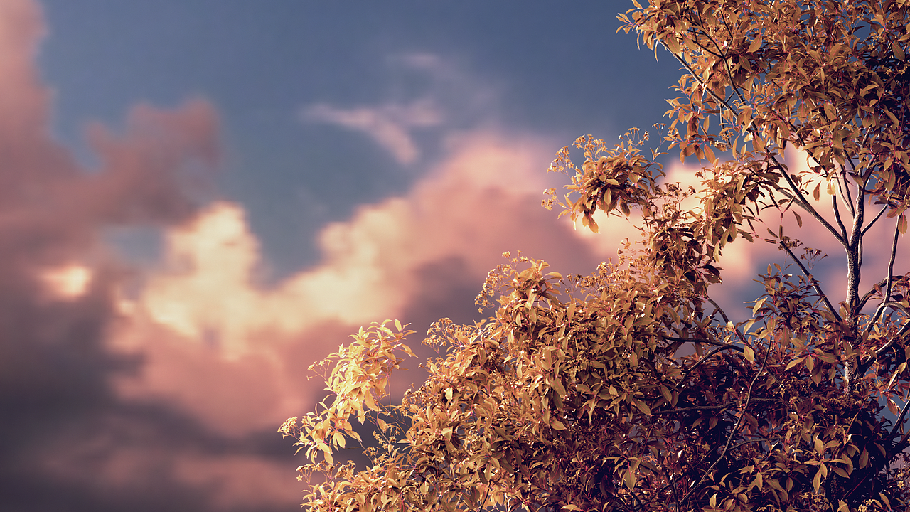 Plants, hope and light（图ZMjM2MjI1OTg0） - 场景 - 站酷设计师JIFEN_几分原创素材 - 站酷ZCOOL