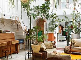 喜欢的环境(不是本人作品,喜欢分享)