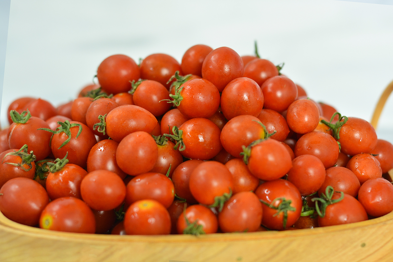 釜山88小番茄（图ZMjY0Mjc0NDI4） - 产品摄影 - 站酷设计师Zz辣辣原创素材 - 站酷ZCOOL