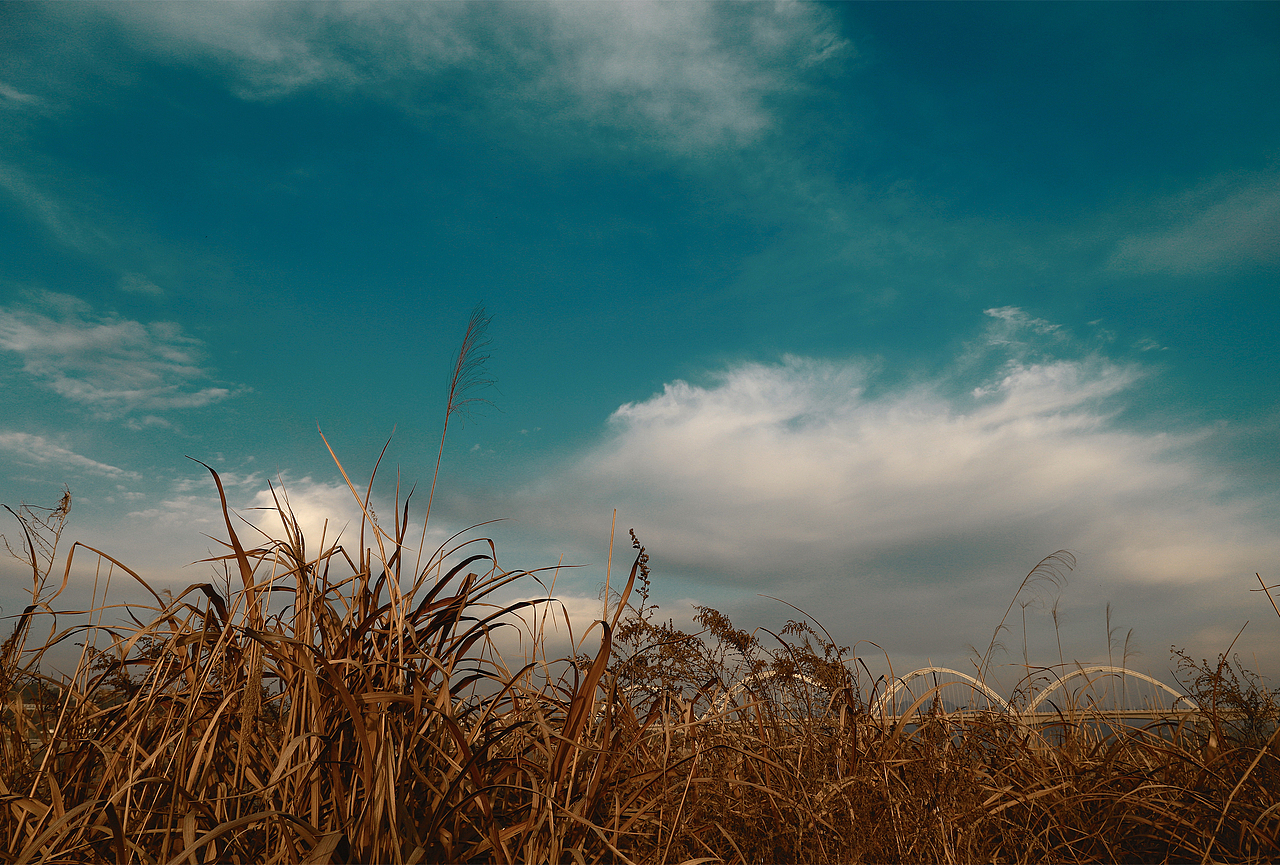 午后闲拍（图ZMTAwMjE5MTI0） - 风光摄影 - 站酷设计师MyMrHong原创素材 - 站酷ZCOOL