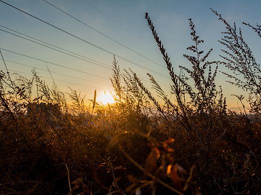 闲来无事拍夕阳