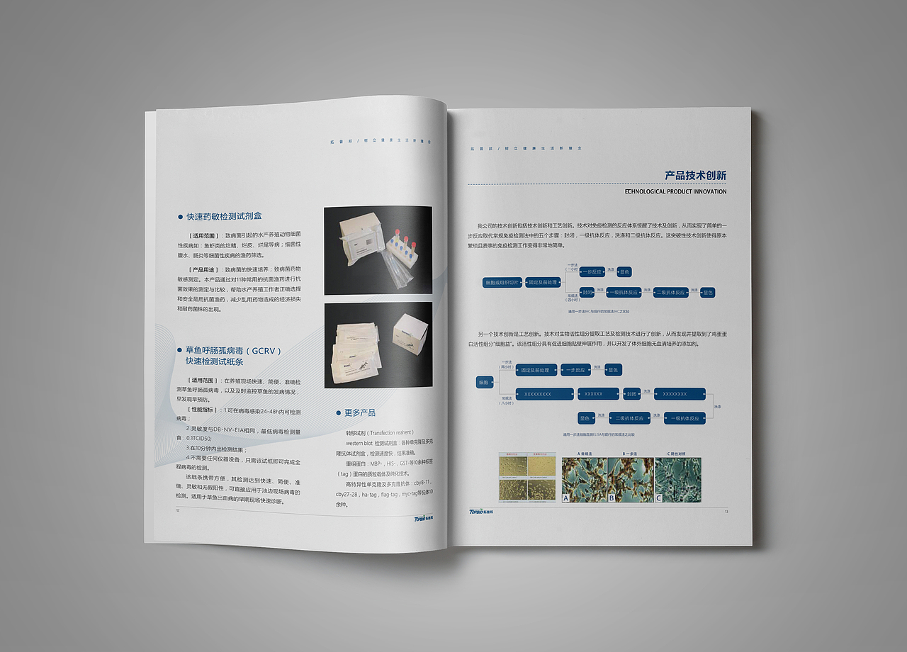 拓普邦画册设计（图ZMTAxMTY0NDI0） - 书籍/画册 - 站酷设计师佳屿原创素材 - 站酷ZCOOL