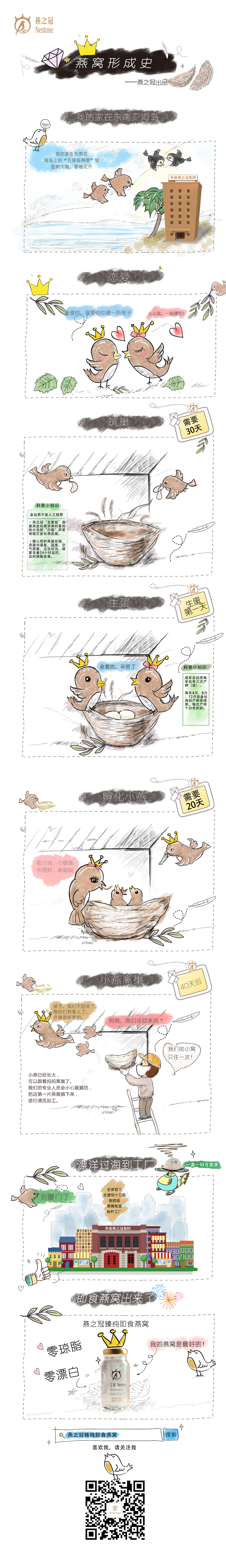 燕窝形成史 插画（图ZMTI3OTAzMTI0） - 商业插画 - 站酷设计师莫言11原创素材 - 站酷ZCOOL