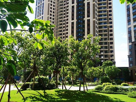 【碧桂园南站新城】中信新城花园，华附名校，临深地铁