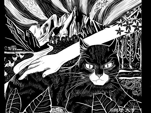 动物插画-猫粮包装插画