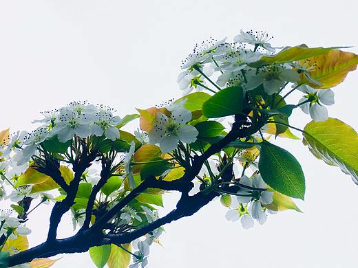 人生有时必《留白》