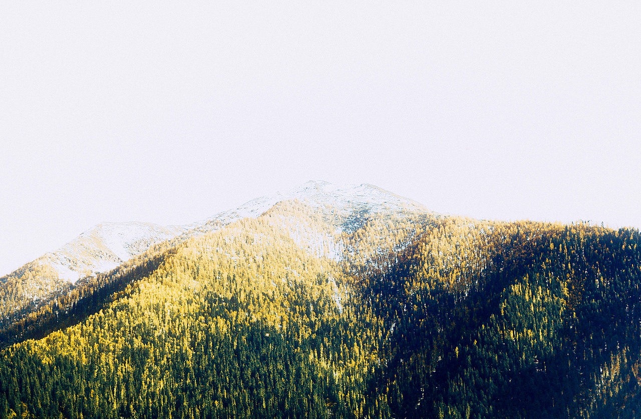 *纪实摄影（图ZMjc4MDA3Nzcy） - 人文/纪实摄影 - 站酷设计师狒狒Aurora原创素材 - 站酷ZCOOL