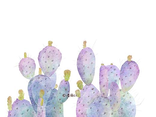 植物插画系列