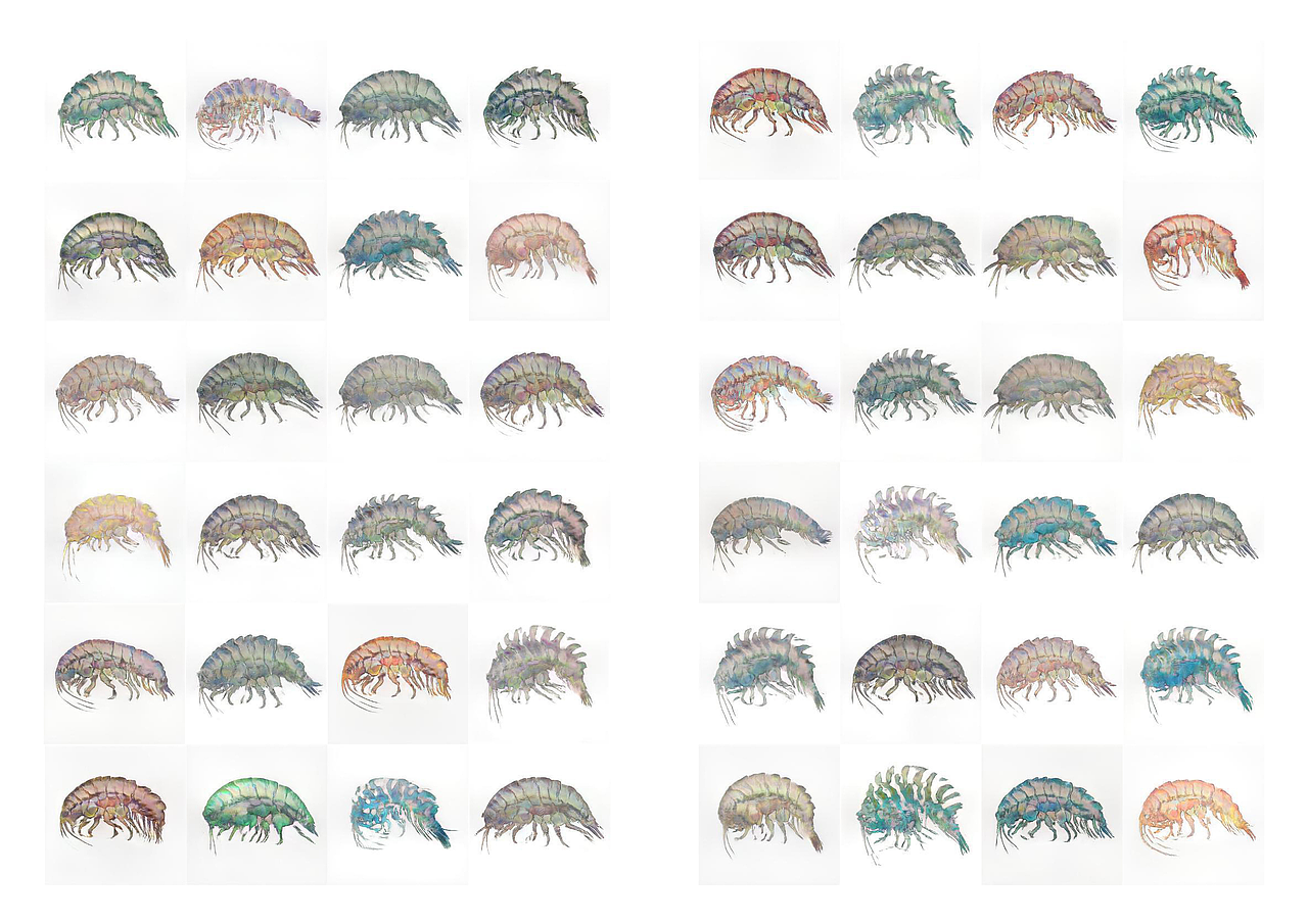 【毕业设计】实验性文本 「超然」存在于我体内（图ZMjU2MjkxODI0） - 书籍/画册 - 站酷设计师Hikariii原创素材 - 站酷ZCOOL