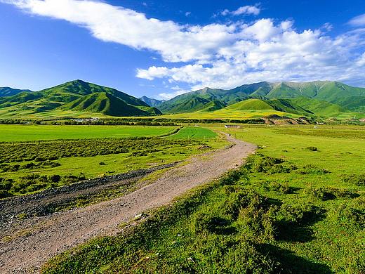 达坂山毛嵫口