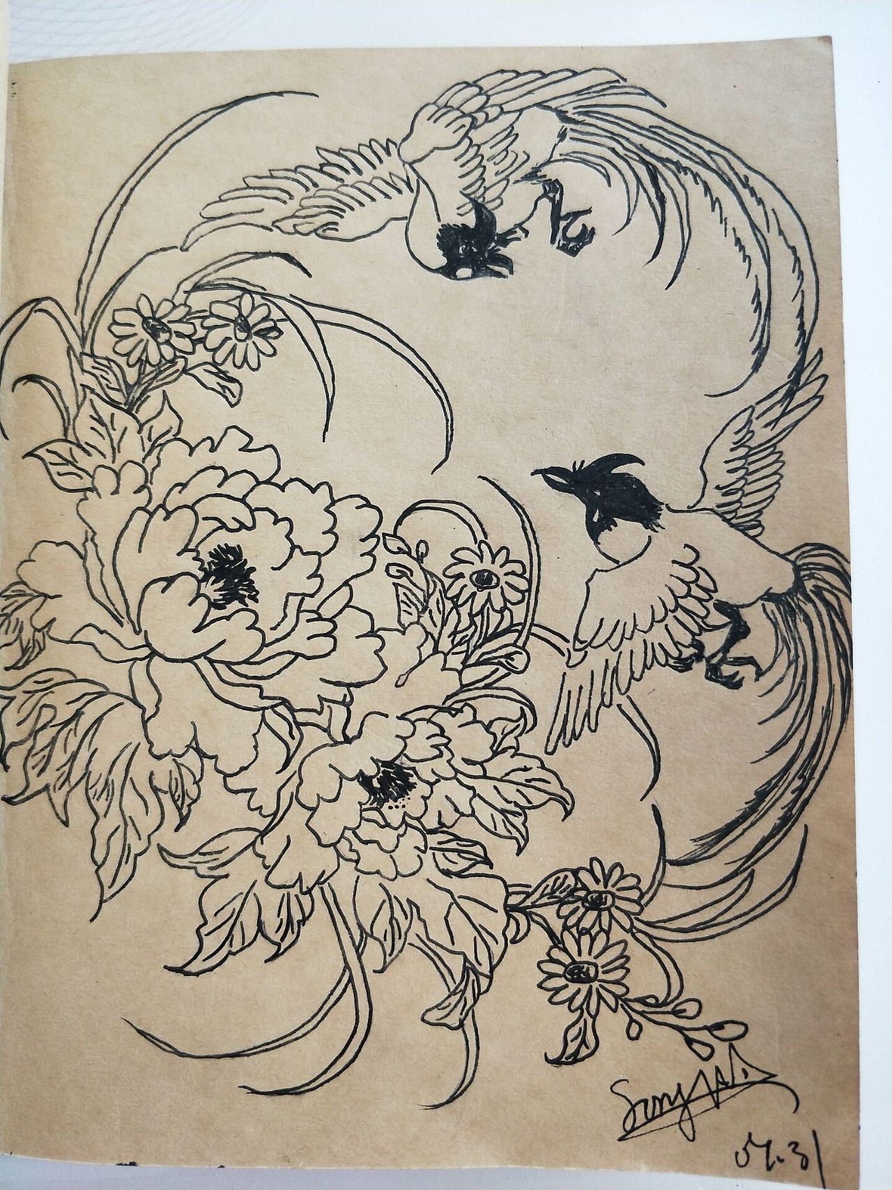线描手绘