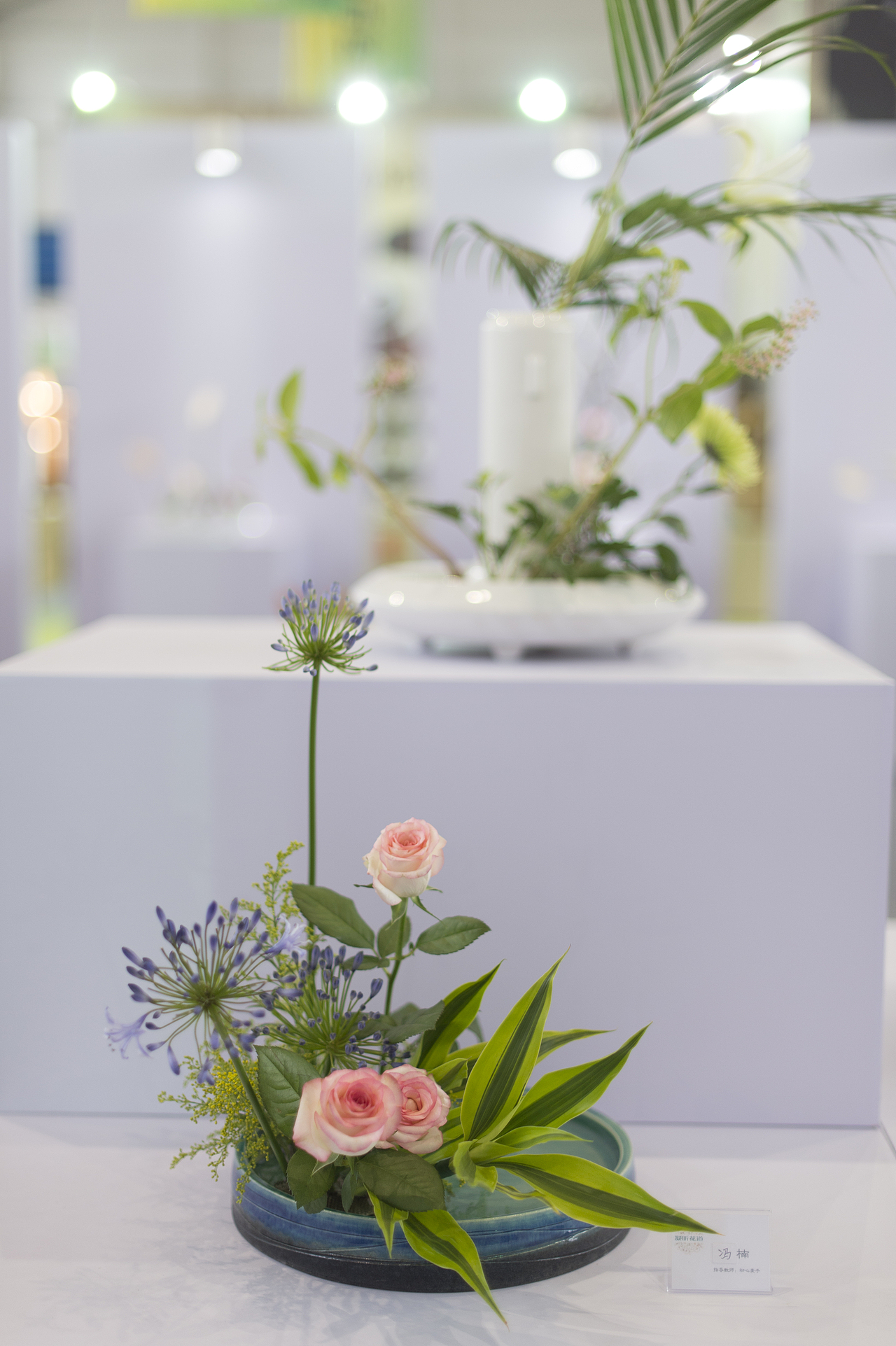 「旖花の語」花道展（圖ZNTc3OTQ2MDA=） - 舞臺美術 - 站酷設計師IrisVision原創(chuàng)素材 - 站酷ZCOOL