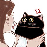 LTimmy的头像