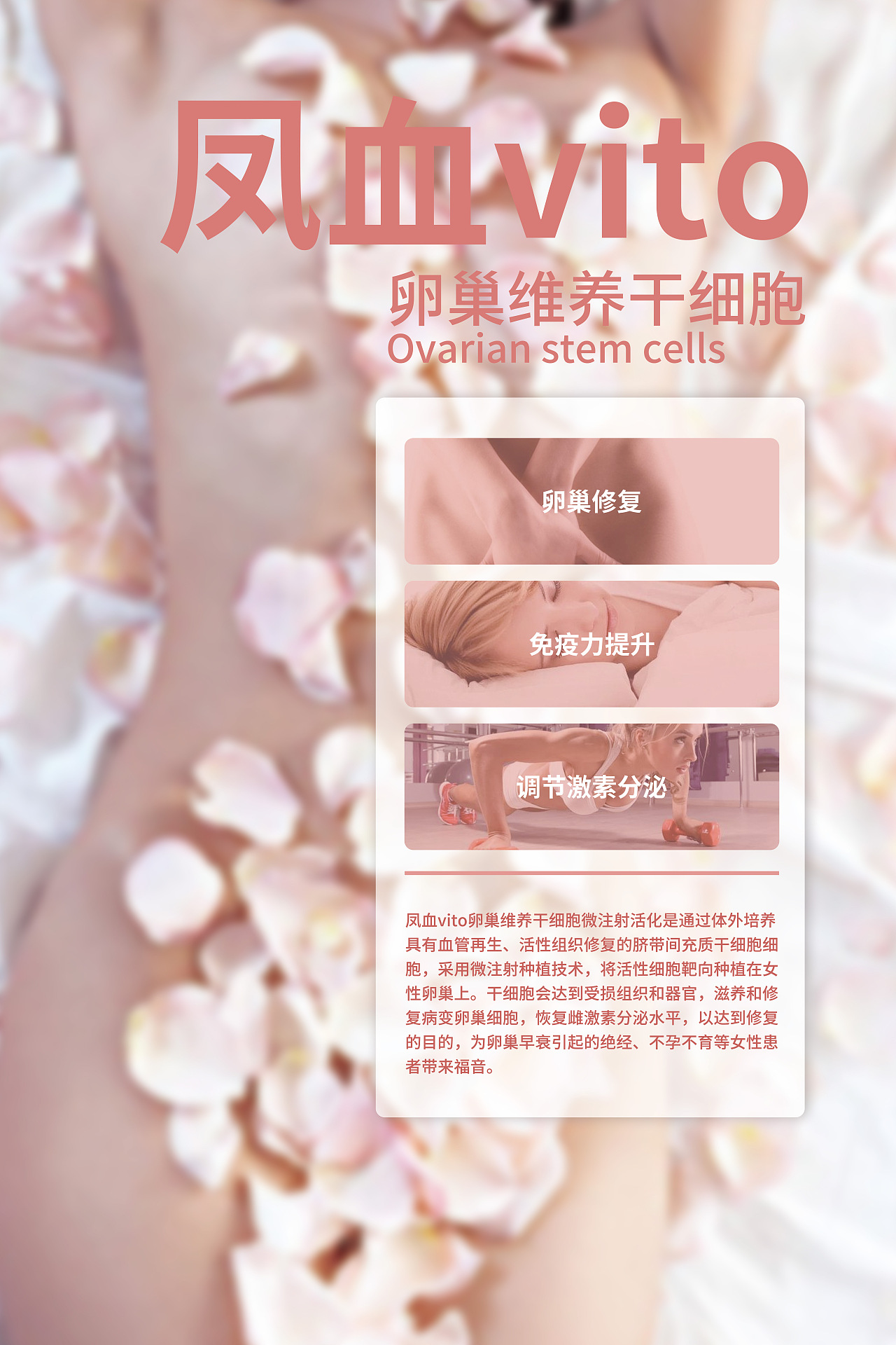 公司展板海报（图ZMTgzMjM3ODA0） - 海报 - 站酷设计师赵三啊赵三原创素材 - 站酷ZCOOL