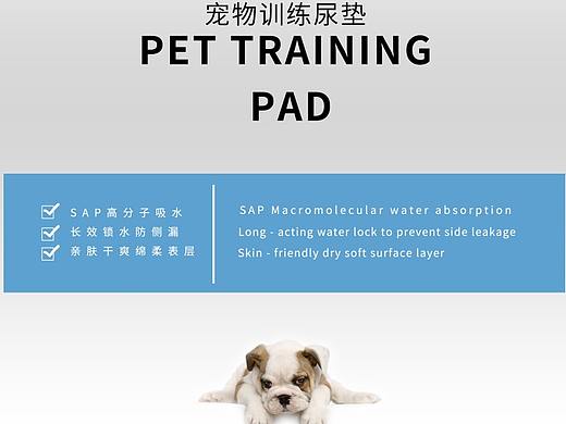 宠物训练尿片包装图