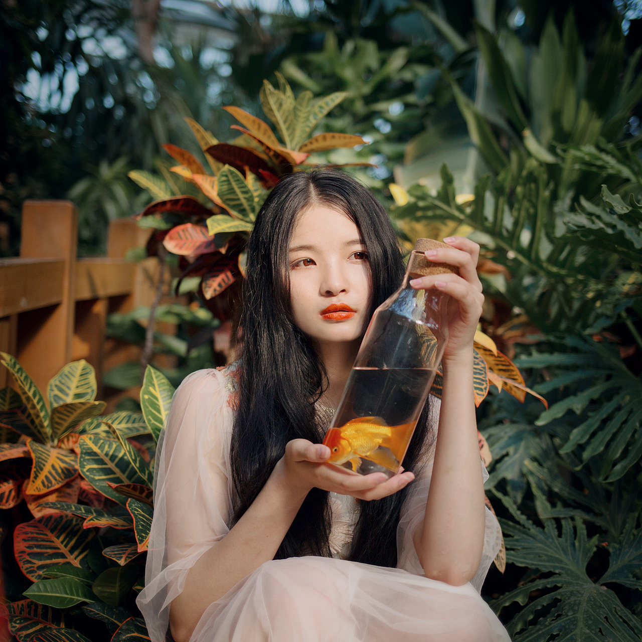 热带雨林（图ZODIwNDgyNTI=） - 人像摄影 - 站酷设计师M_Cony原创素材 - 站酷ZCOOL