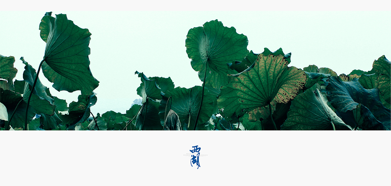 浓妆淡抹 · 总相宜