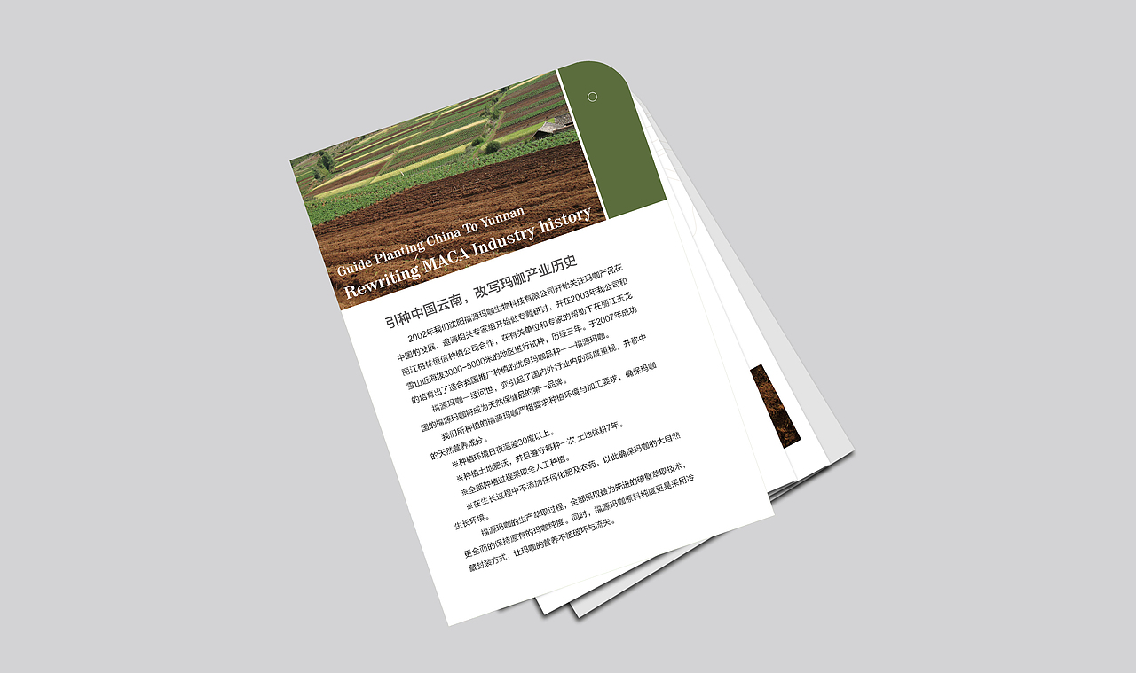 画册--玛咖产品说明手册（图ZNDUzNTQzNg==） - 其他平面 - 站酷设计师蟹蟹殿下原创素材 - 站酷ZCOOL