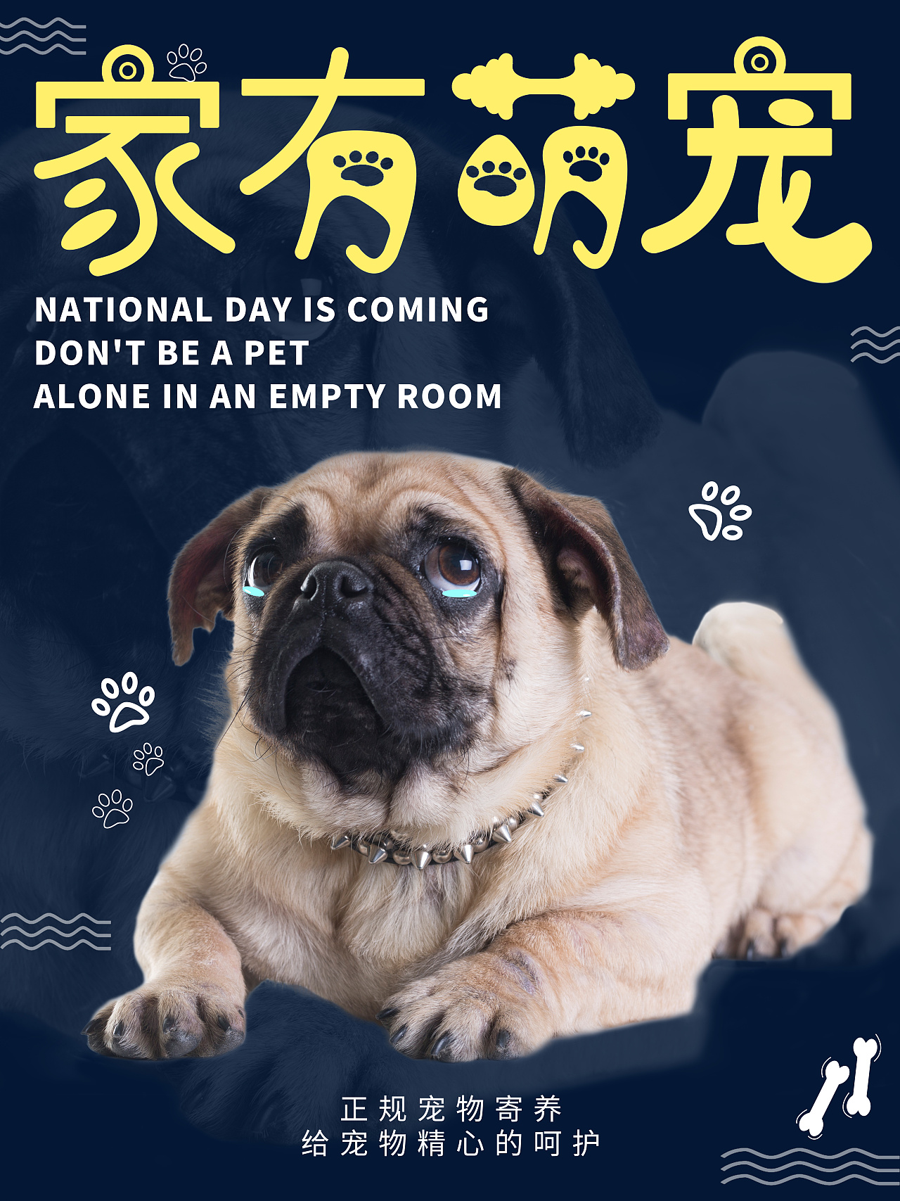 家有萌宠寄养海报