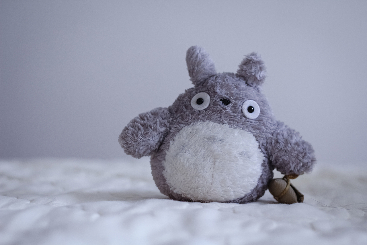 给我来打小龙猫