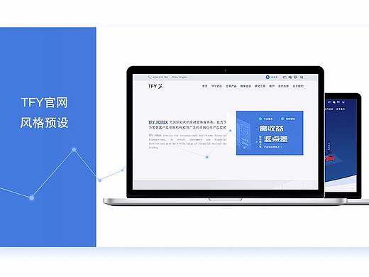 TFY官网风格设计