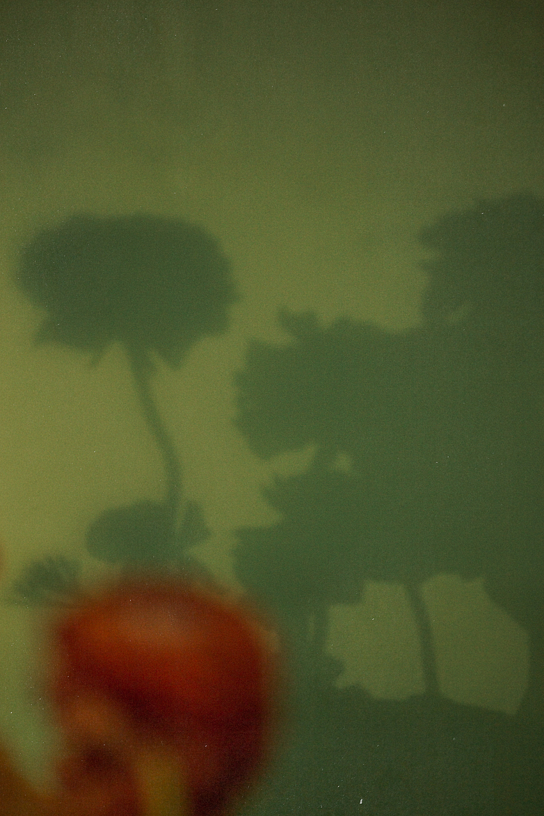 绿/花（图ZMTgzMTc4ODM2） - 产品摄影 - 站酷设计师刘佩相_koto原创素材 - 站酷ZCOOL