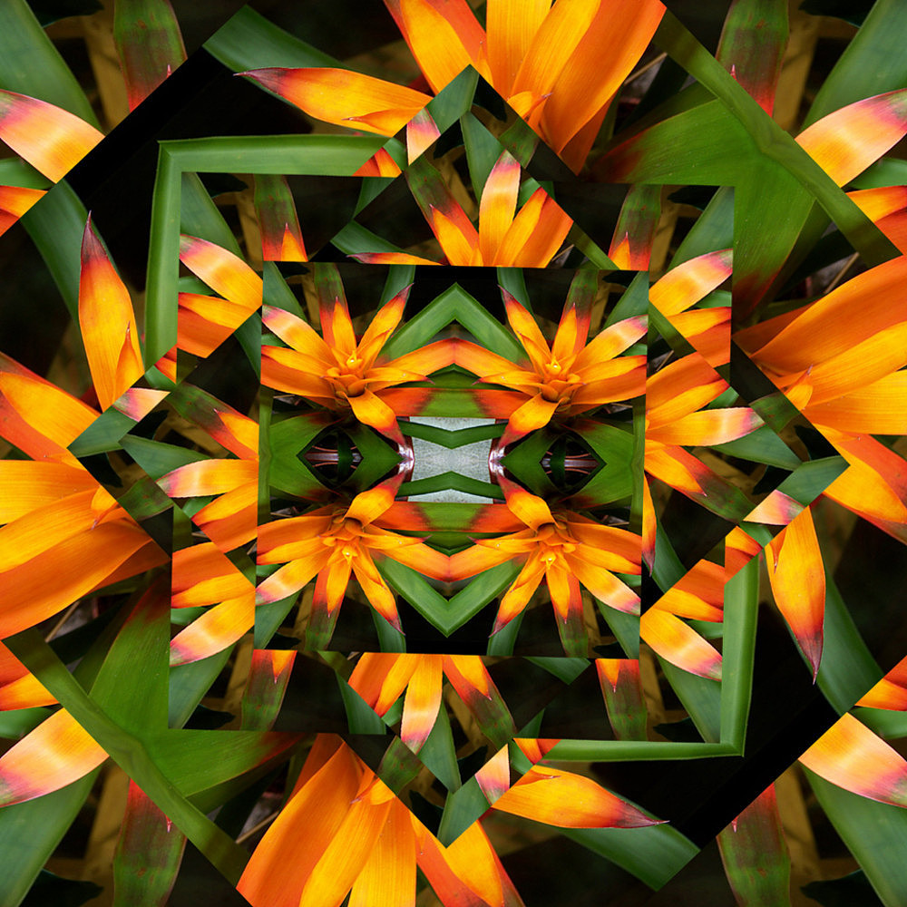 米印定制——花型分享