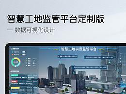 可视化