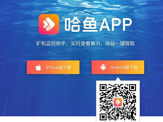 哈鱼官网（个人主页-ZMzEzNTcwOTI=） - 软件界面 - 站酷设计师Kayec原创素材 - 站酷ZCOOL